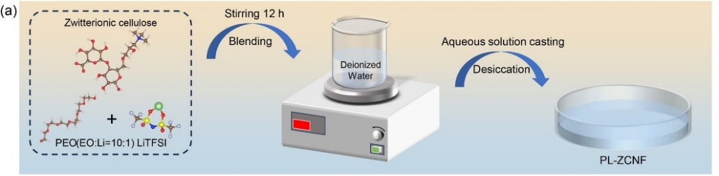 通过水溶液浇筑法实现基于两性离子纤维素基聚合物电解质的高性能固态电池2.png 通过水溶液浇筑法实现基于两性离子纤维素基聚合物电解质的高性能固态电池2.png