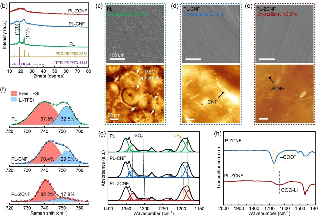 通过水溶液浇筑法实现基于两性离子纤维素基聚合物电解质的高性能固态电池3(1).png 通过水溶液浇筑法实现基于两性离子纤维素基聚合物电解质的高性能固态电池3(1).png