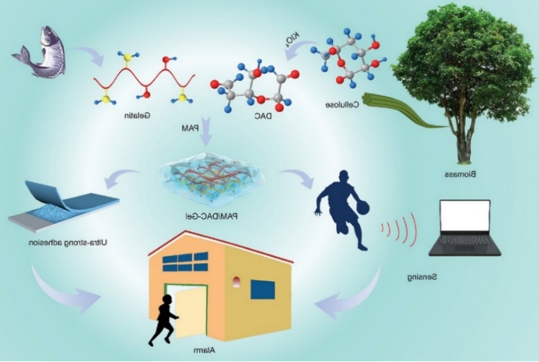 具有超强粘附力的纤维素基双网络导电水凝胶1.png 具有超强粘附力的纤维素基双网络导电水凝胶1.png