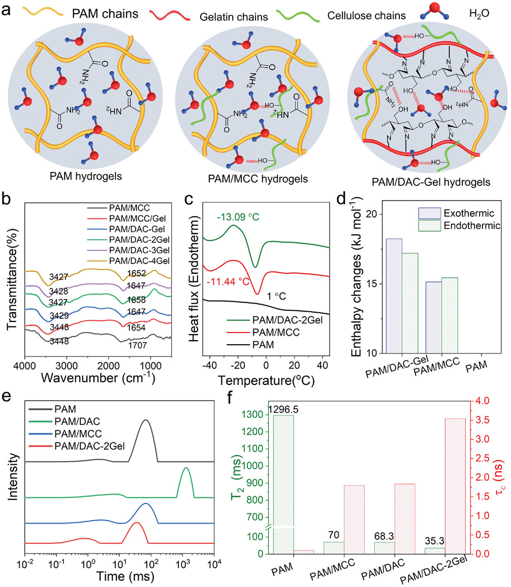 具有超强粘附力的纤维素基双网络导电水凝胶3.png 具有超强粘附力的纤维素基双网络导电水凝胶3.png