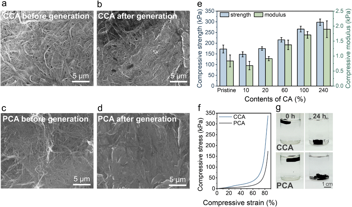 基于化学交联纤维素纳米纤维的环境可持续水分能量收集器3.png 基于化学交联纤维素纳米纤维的环境可持续水分能量收集器3.png