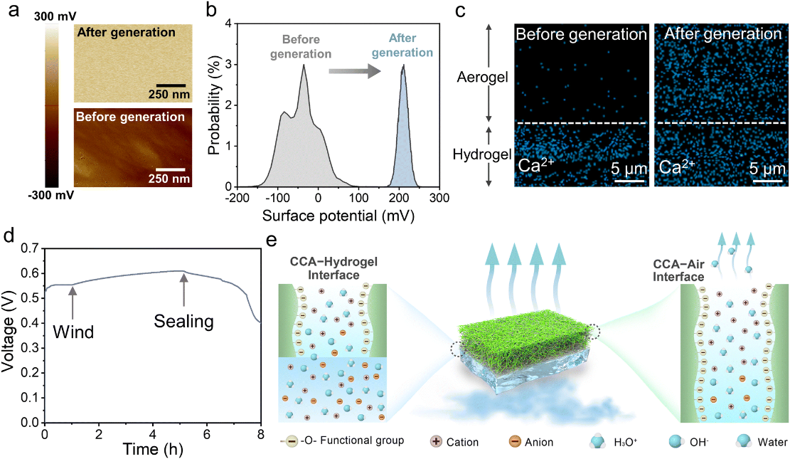 基于化学交联纤维素纳米纤维的环境可持续水分能量收集器4.png 基于化学交联纤维素纳米纤维的环境可持续水分能量收集器4.png