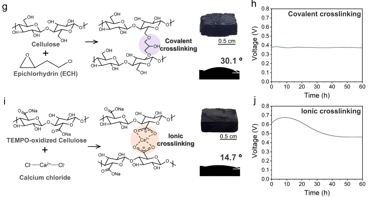 基于化学交联纤维素纳米纤维的环境可持续水分能量收集器6(1).png 基于化学交联纤维素纳米纤维的环境可持续水分能量收集器6(1).png