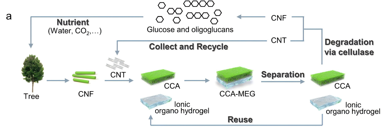 基于化学交联纤维素纳米纤维的环境可持续水分能量收集器7(1).png 基于化学交联纤维素纳米纤维的环境可持续水分能量收集器7(1).png