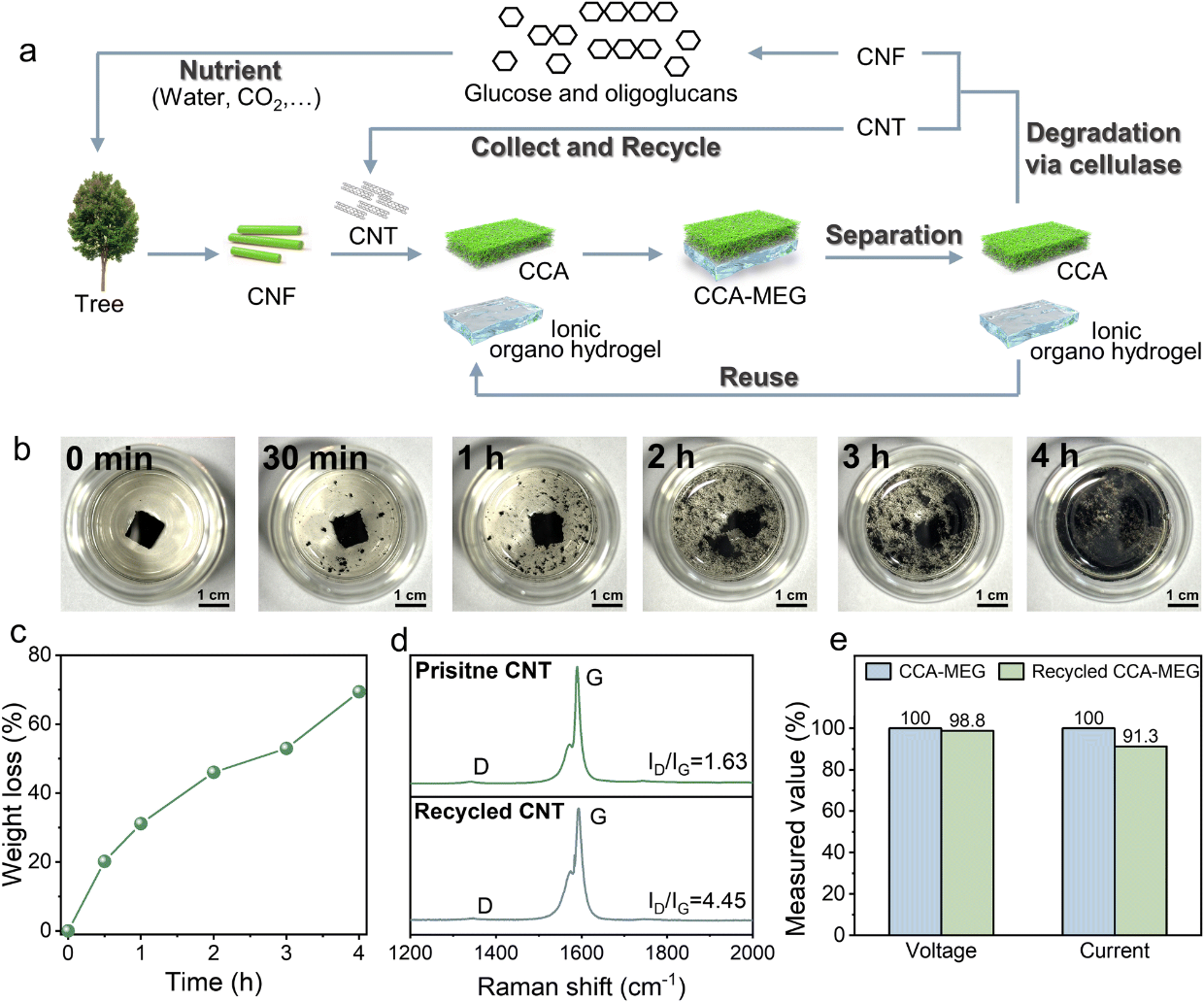 基于化学交联纤维素纳米纤维的环境可持续水分能量收集器8.png 基于化学交联纤维素纳米纤维的环境可持续水分能量收集器8.png