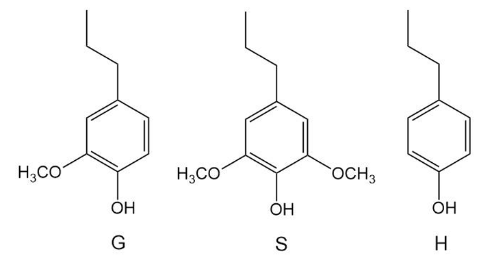 木质纤维素的高效利用.png 木质纤维素的高效利用.png